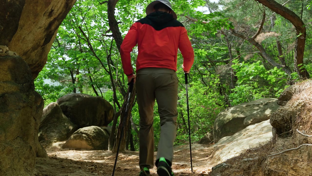 Hiker Walking Down The MOuntain Trail in Beautiful Green Forest With Patches of Sunshine On The Path