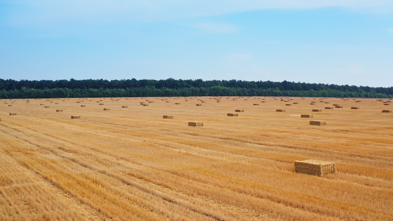Hay Bales in a Field