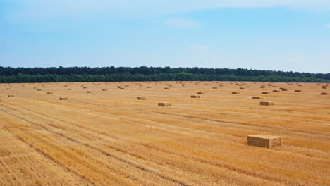 balas de heno en un campo