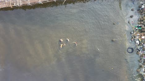 children swimming in polluted river