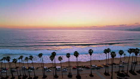 Aerial view of a beach at sunset with palm trees lining the shore