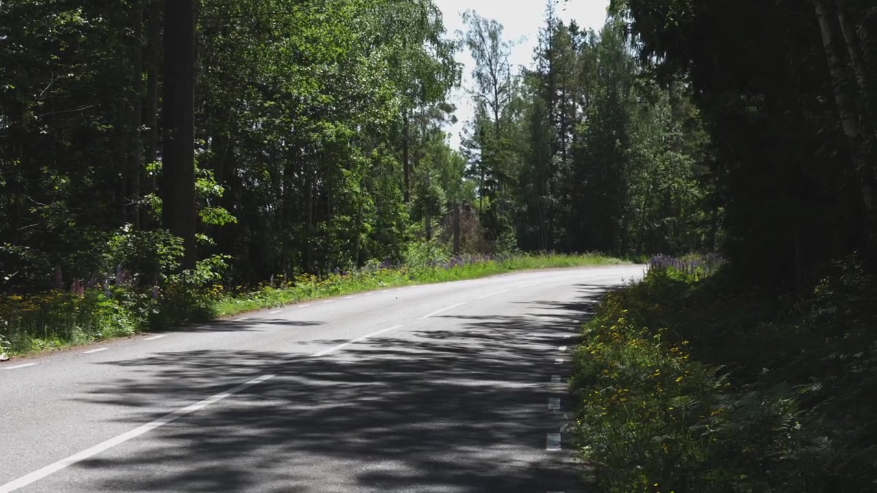Strada asfaltata nel bosco con fiori che crescono su entrambi i lati, Svezia