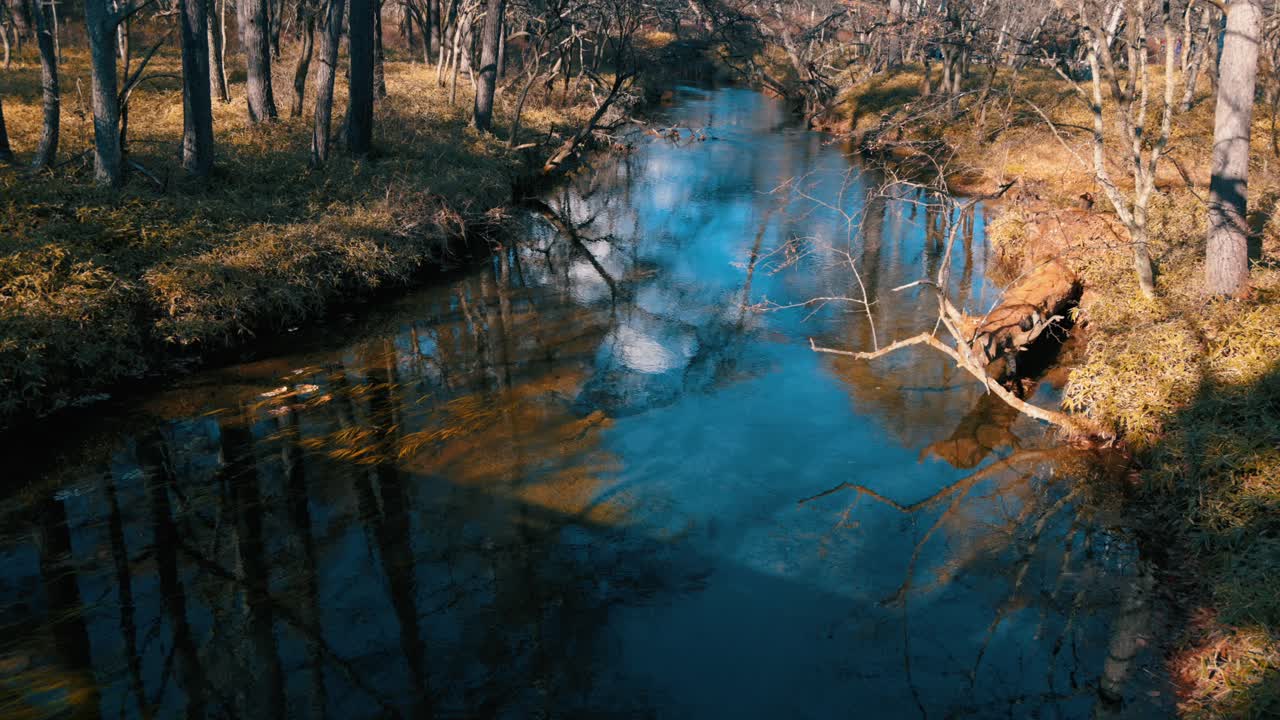 fotografía aérea de un pequeño río en primavera