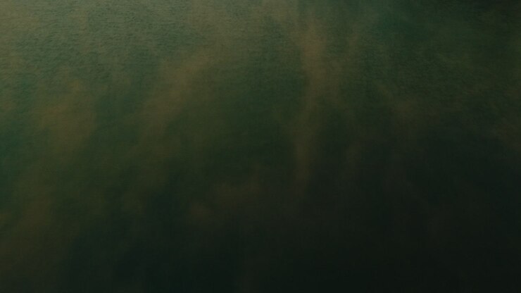 Dark Green Abstract Texture