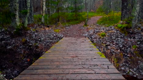 puente de madera a través de un sendero forestal