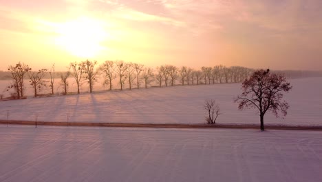 campo cubierto de nieve, camino local vacío y hilera de árboles que proyectan largas sombras, todo bellamente teñido por el sol naciente