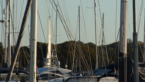 shot of yacht masts at lymington harbour with boat sailing past in background at lymington marina