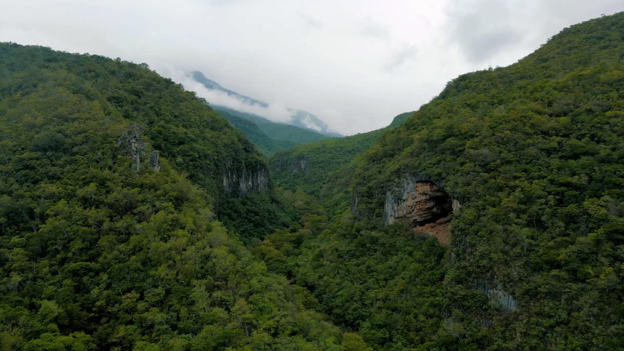 enorme bosque verde en las montañas que cubre toda la tierra desde la cima de las colinas hasta el fondo del desfiladero