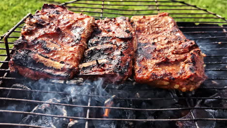 smoky bbq by the riverside , grilled perfection in a natural setting