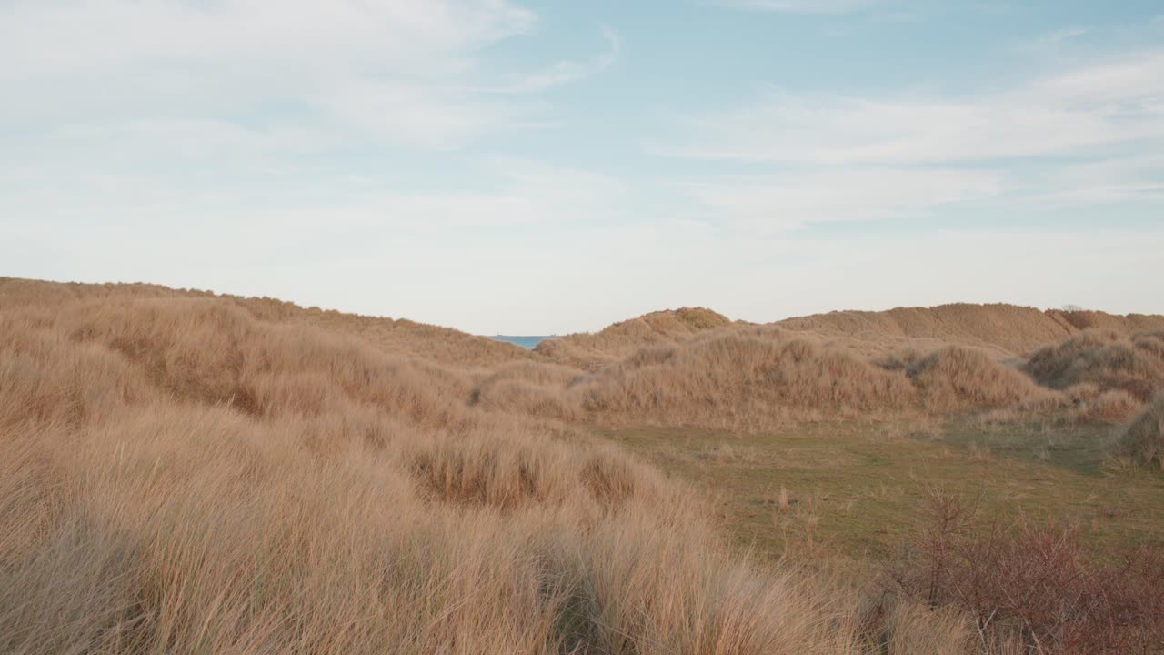 clip fijo de establecimiento de dunas naturales con hierba de marram en northumberland, inglaterra