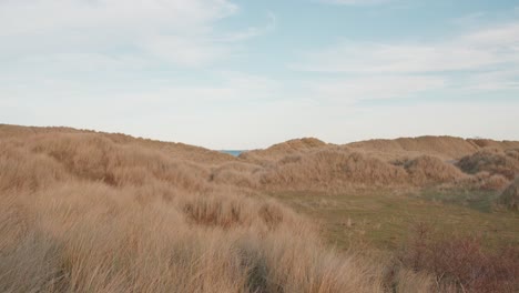 Clip-De-Establecimiento-Fijo-De-Dunas-Naturales-Con-Hierba-Marram-En-Northumberland,-Inglaterra