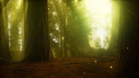 firefly in misty forest with fog