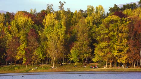 Estacione-árboles-Coloridos-Al-Costado-Del-Lago,-La-Gente-Disfrute-De-La-Orilla-Con-Césped-A-La-Hora-Dorada