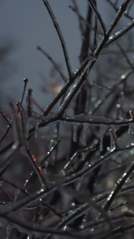 primer plano de ramas de árboles desnudas congeladas cubiertas de hielo y gafas de nieve, con luz brillante en el fondo creando una mágica atmósfera de invierno y un edificio suavemente borroso detrás