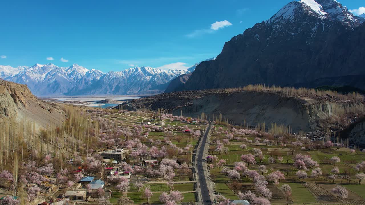 Skardu'da vadi tabanındaki kiraz çiçeği ağaçlarının, uzakta karlı dağlar arka planıyla havadan görünümü.