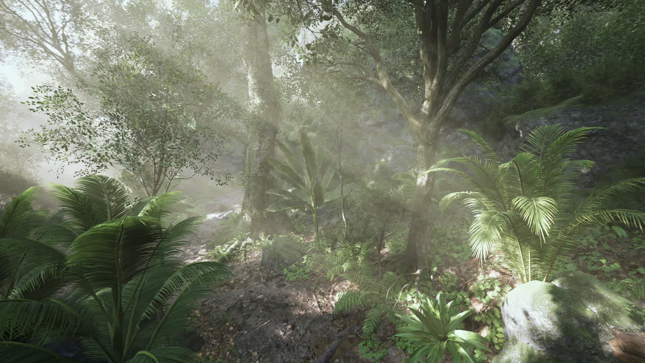 un camino de bosque sereno con la luz del sol que fluye a través del denso follaje en la naturaleza