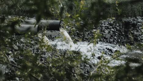 drainage or overflow pipes flowing into a river discharging water in a low angle view through greenery of the stony river bank in a natural resource concept