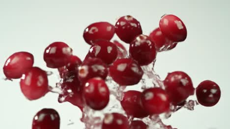 cranberries splashing
