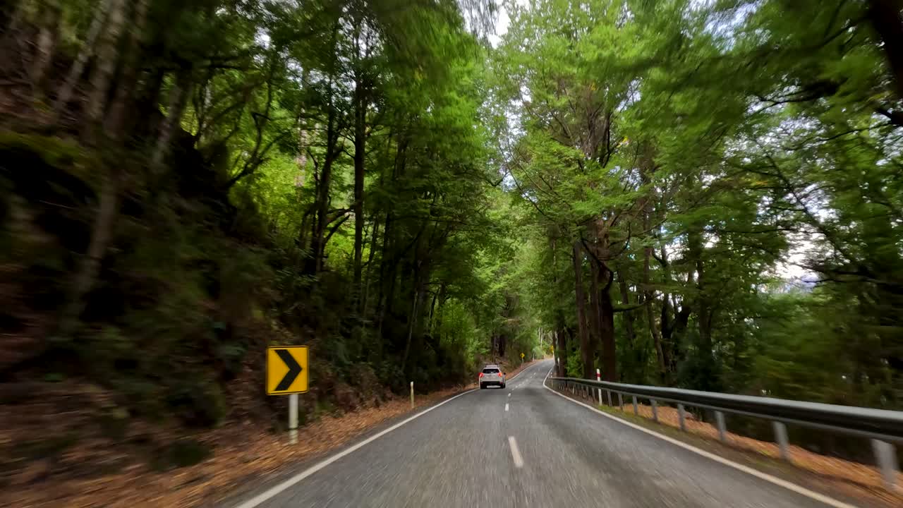Vehicle travels winding forest road, daylight, lush greenery, dynamic motion, forward-facing dashcam perspective