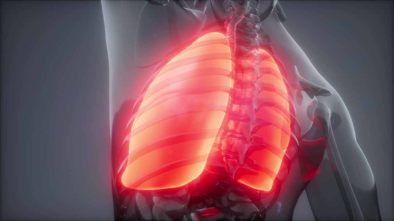 Esame radiologico dei polmoni umani