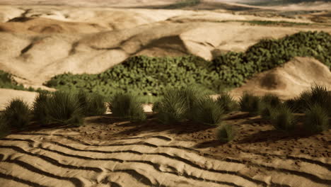 Desierto-Pedregoso-En-El-Interior-De-Australia