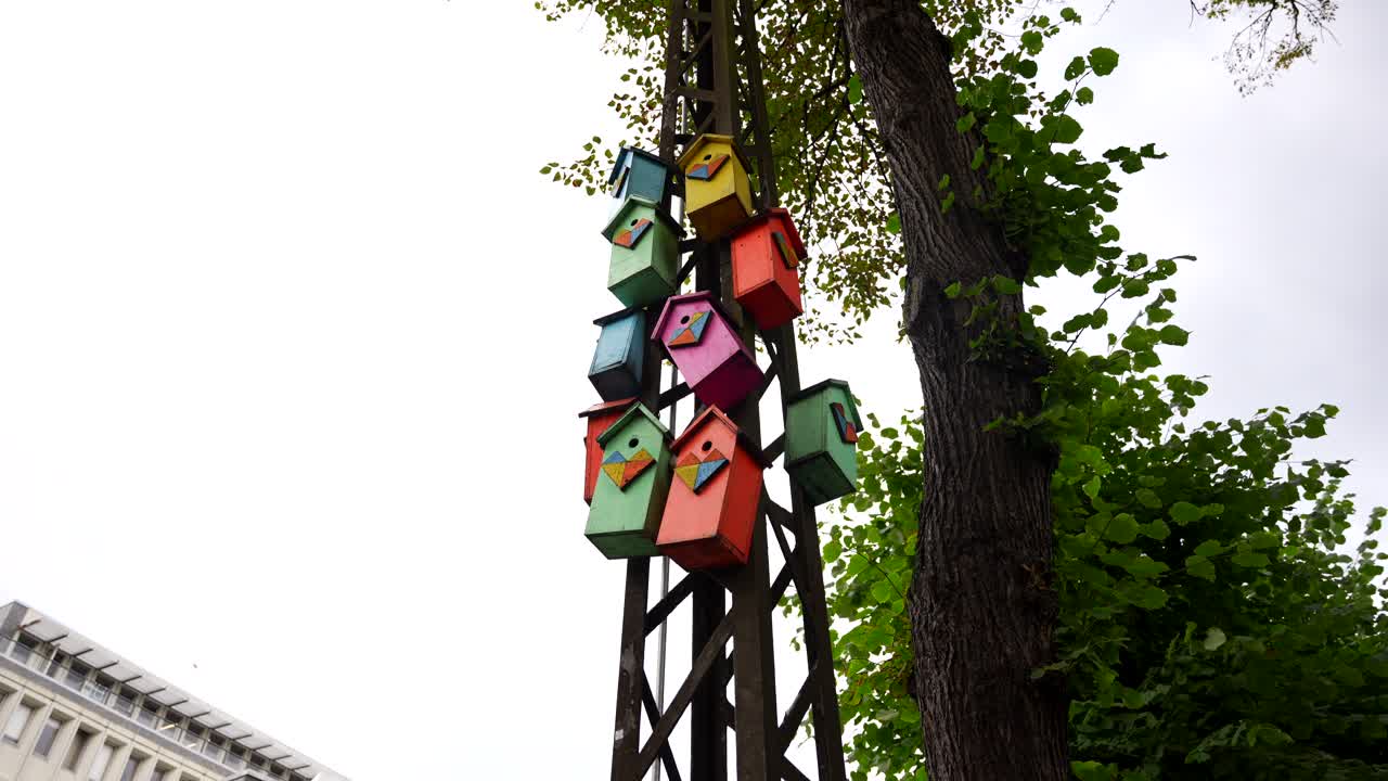 낮은 각도  ⁇ , 거리를 따라 기둥에 매달린 다채로운 나무 새집의 줄