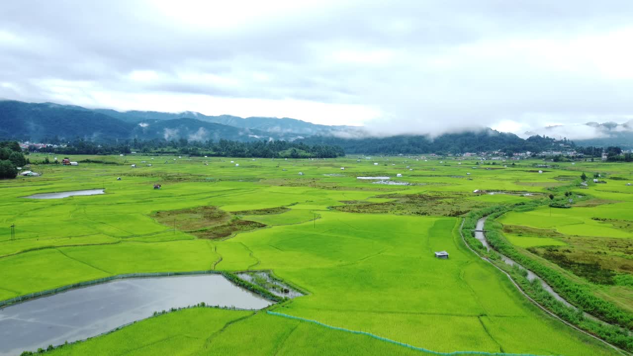 взгляд с воздуха на рисовое поле в аруначал-прадеш