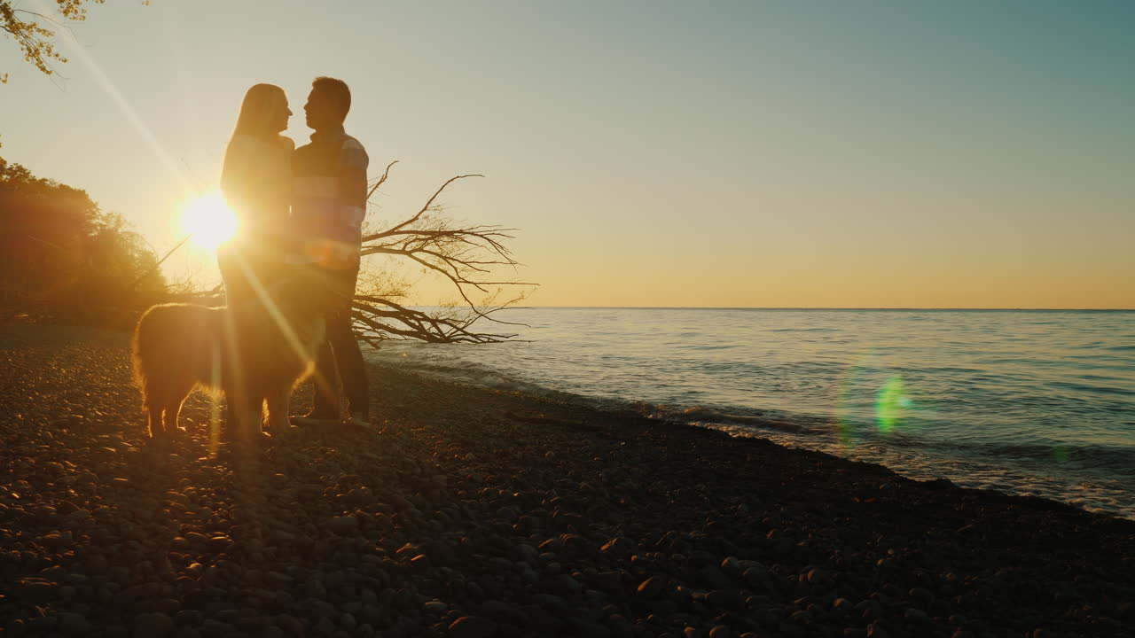석양에 강아지와 커플