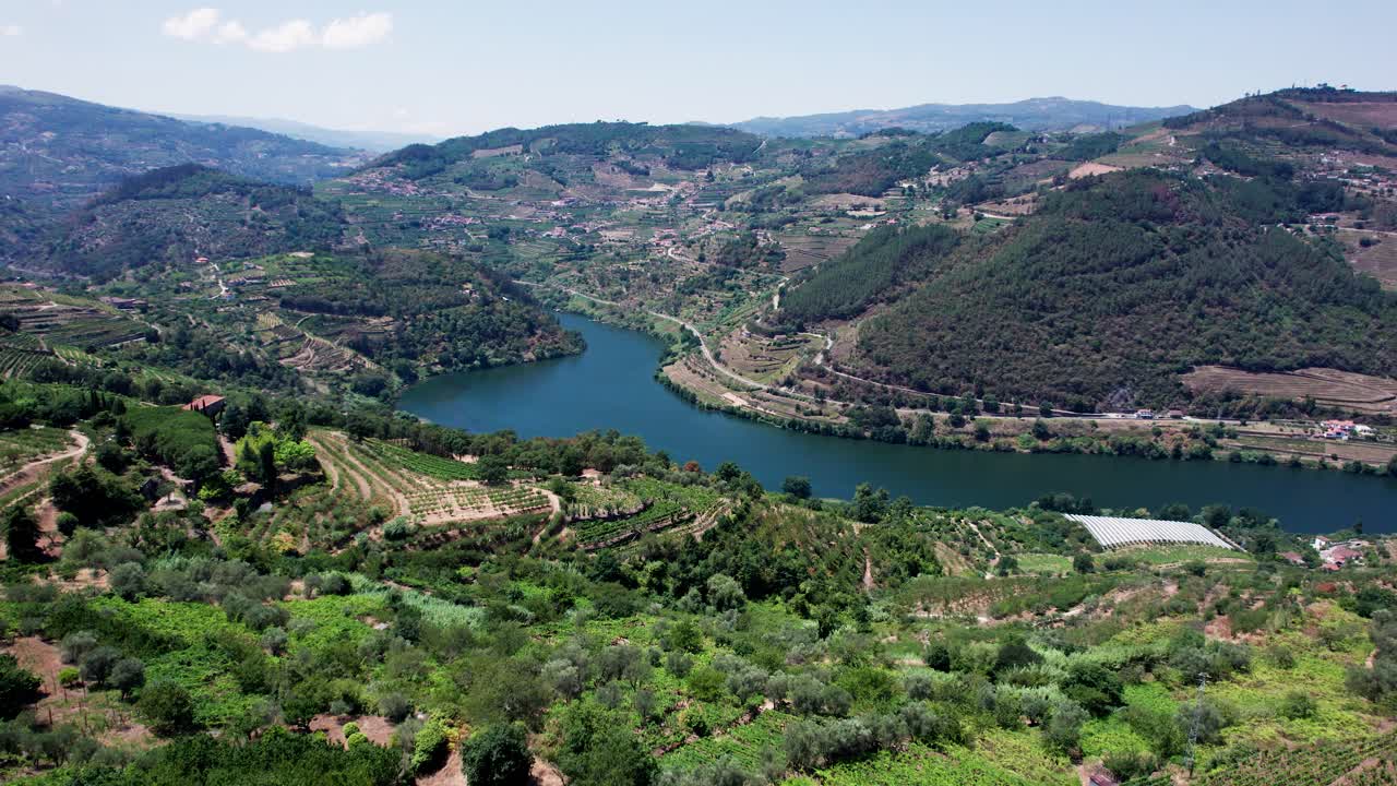 Regione vinicola rurale nella valle del fiume Douro, vigneti in collina