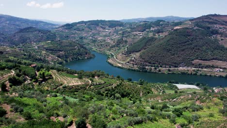 región vinícola del campo en el valle del río douro, viñedos en la ladera