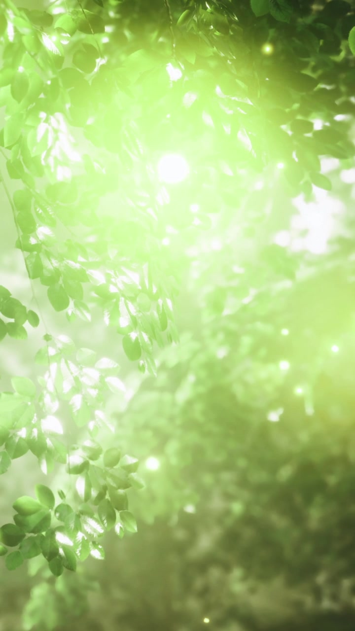 La luce filtra tra le foglie verdi in una foresta durante il giorno.