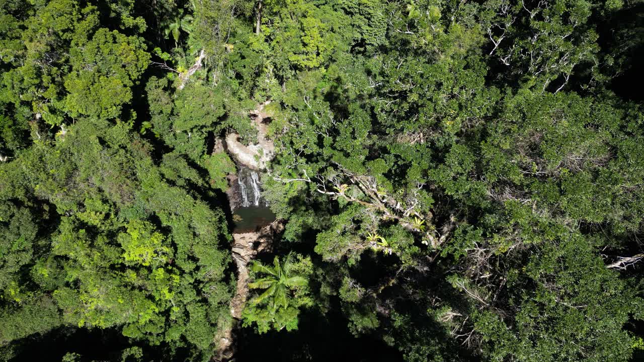 un agujero natural para nadar y una cascada escondida en lo profundo entre la densa selva tropical