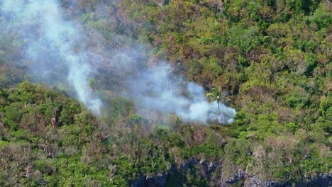 incendio forestal en el parque nacional de cabo cabron durante un día soleado