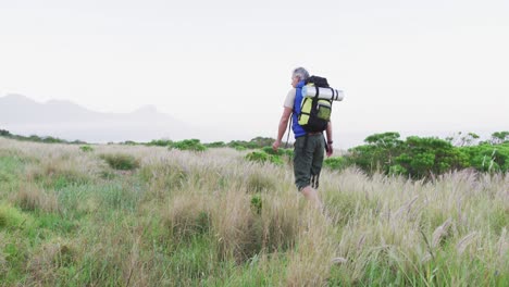 Hombre-Excursionista-Mayor-Con-Mochila-Caminando-Y-Tocando-Hierba-Silvestre-En-El-Campo-De-Hierba-En-Las-Montañas.