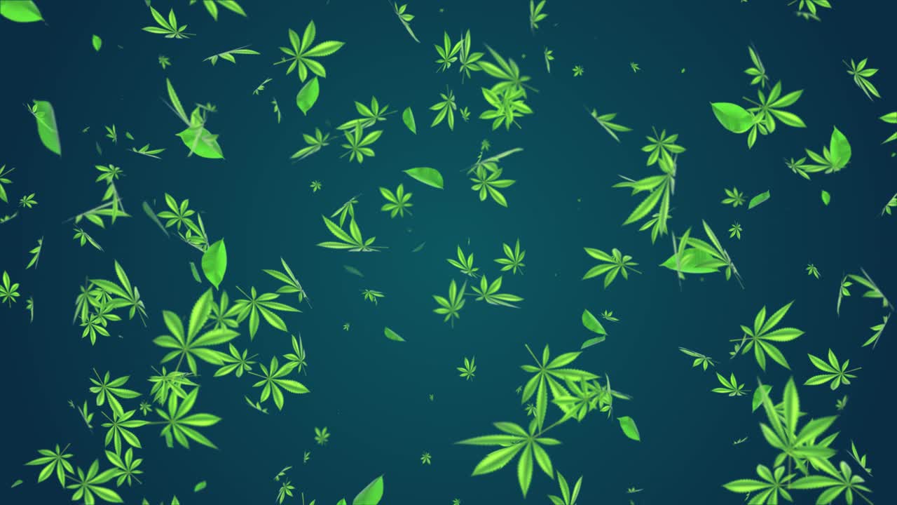 Falling Cannabis Leaves