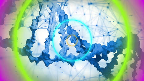 dna strands and geometric shapes over colorful neon circles, scientific animation