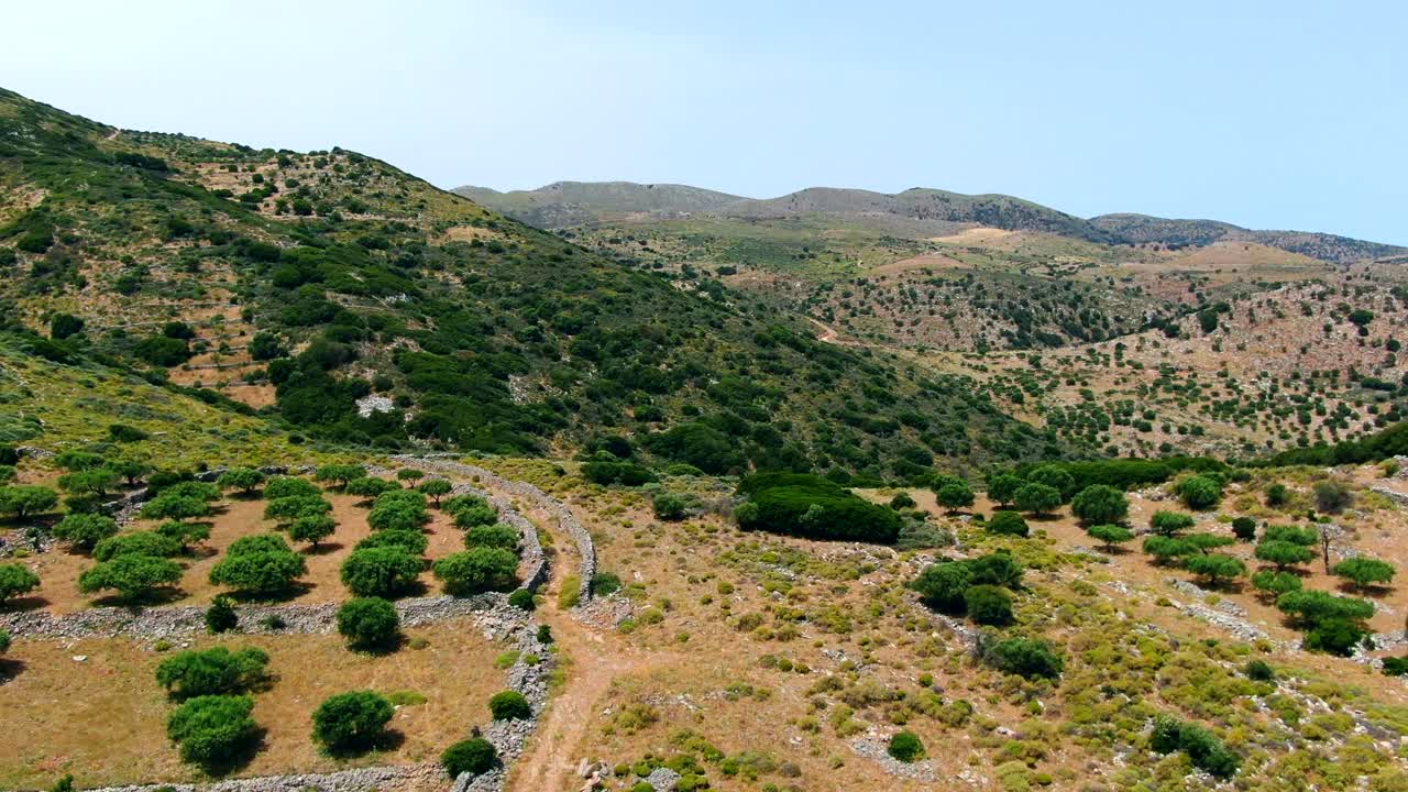 aerial fly over the mountains of Lasithi, trees and tracks, Crete, Greece