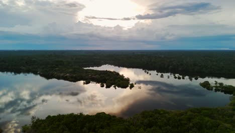 reflexión panorámica del horizonte durante el día en las aguas tranquilas y tranquilas del río juma, amazonas, brasil