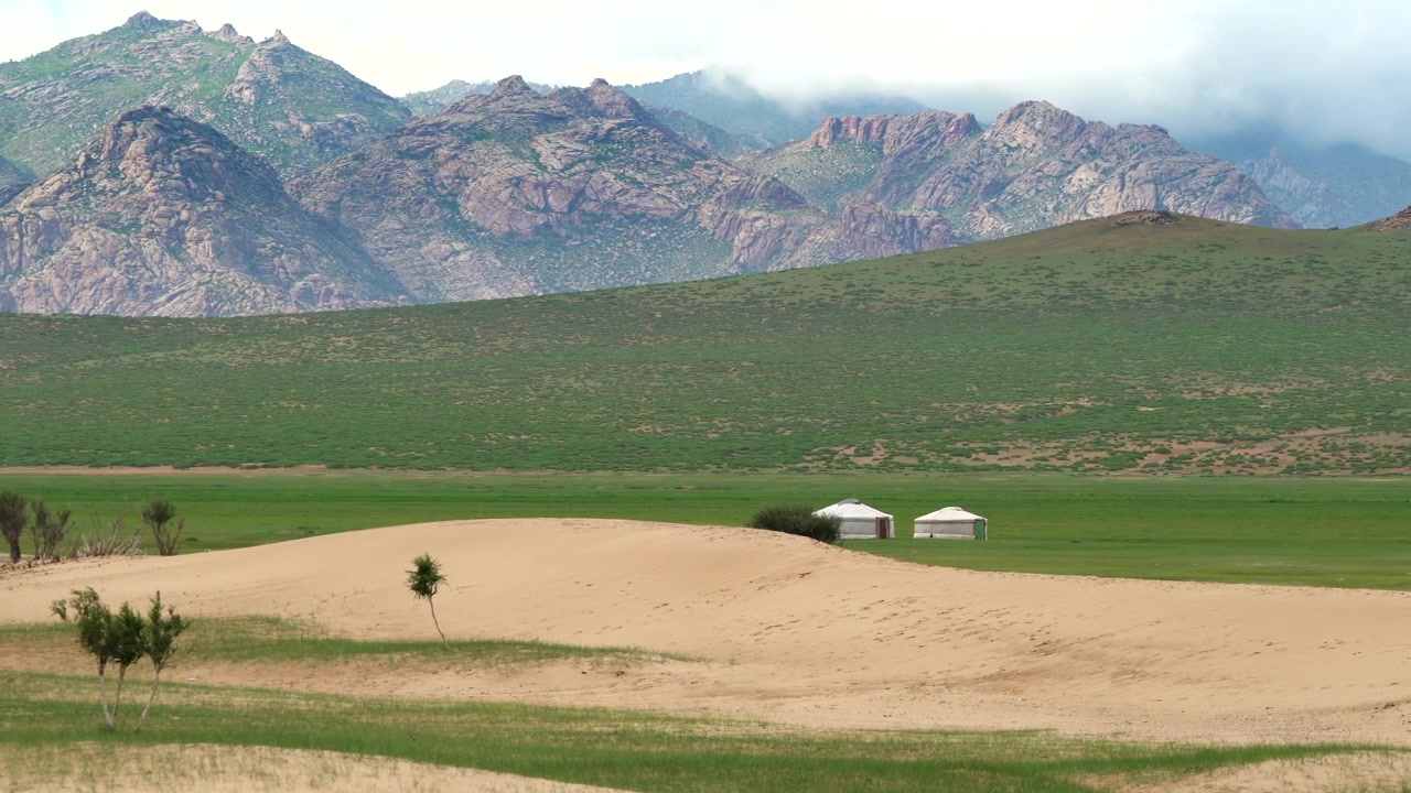 Ger mongoli tradizionali in una vasta valle verde con uno sfondo montuoso