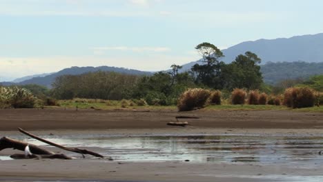 orilla del río fangoso tarcoles en costa rica, montañas en el fondo