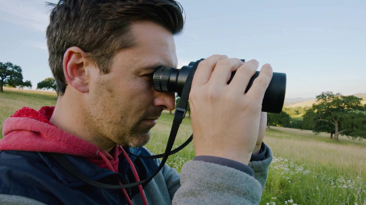 Raising binoculars, man in red hoodie steadying and scanning rural meadow for distant details