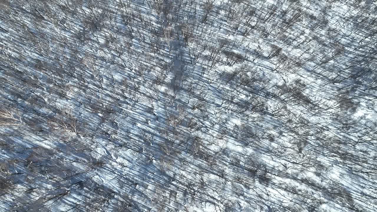 fotografía aérea del valle nevado de japón cerca de la región de nagano myoko yamanochi