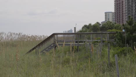 beach access over dunes in myrtle beach, sc