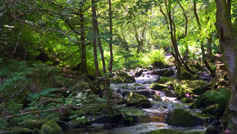 Slow-flowing-river-stream-flowing-gently-over-rocky-waterfalls