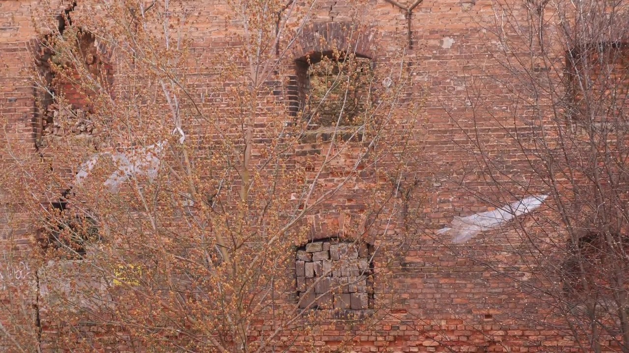 Ruiner af et gammelt kornmagasin bygget af mursten. Gdansk, Polen.
