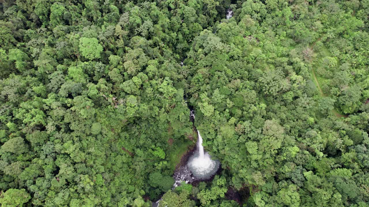 rugiente cascada de la fortuna que fluye hacia la piscina de la jungla en costa rica