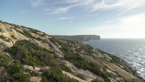escasa vegetación ondeando en el viento cerca de la costa del mar mediterráneo en la isla de gozo
