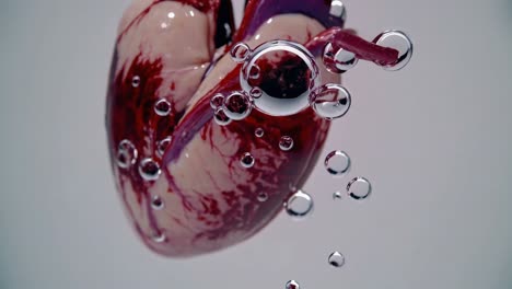 heart in water