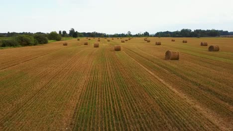 el campo con rollos de heno