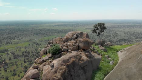 Aerial-shot-of-a-herd-of-goats-sheltering-under-a-cave-on-top-of-a-large-granite-boulder-mountain-in-East-Africa